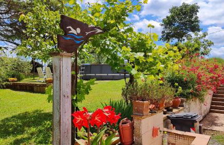 Locazione turistica nel verde Civita di Bagnoregio - Foto 21