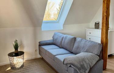 Robbe beim Ochsenturm am Deich - Foto 9