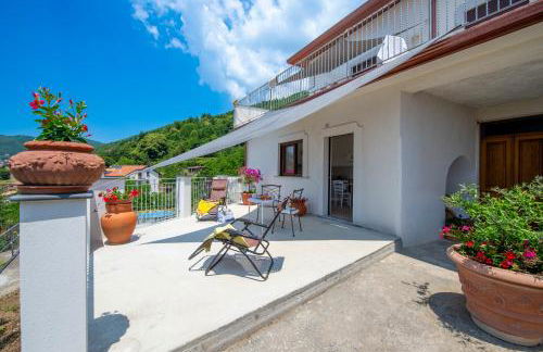 Rosa Maison - Foto 26