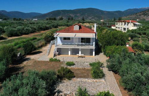 Villa of luxury and serenity - Photo 15