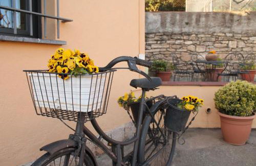 El racó del Puig - Foto 29