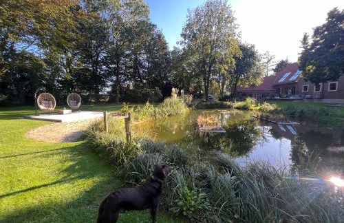 Dreckerhook, oasis to slow down! - Foto 25