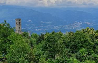 Trassilico Casa vacanze montagne verdi in Garfagnana Toscana Lucca - Foto 39