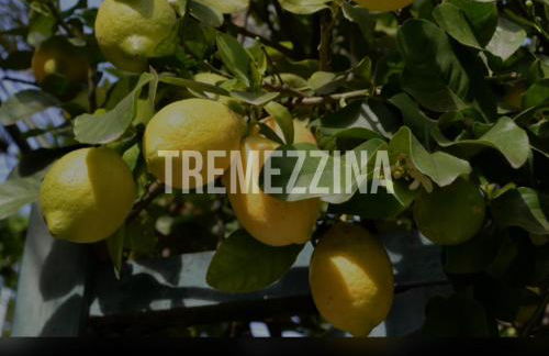 il nido nella quiete - Foto 42