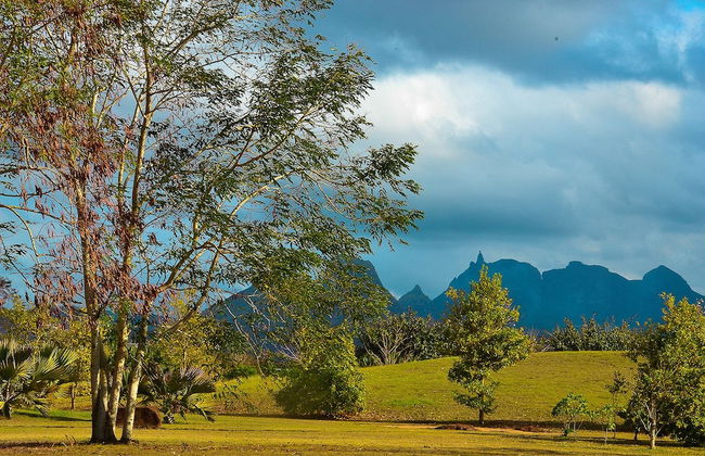 Royal Park Resorts - Foto 40