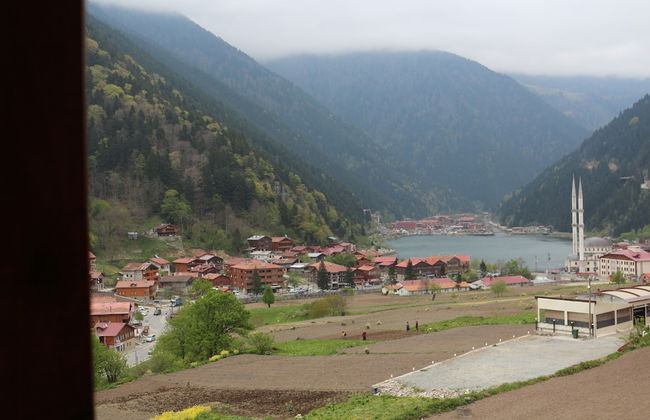 Zeren Pansiyon - Photo 28