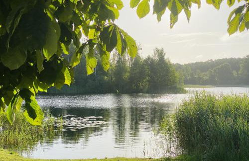 Entspannungszeit am Kluger See - Foto 17