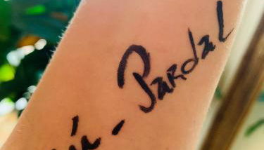 Anjú-Pardal - Foto 4