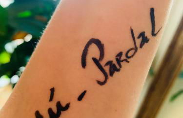 Anjú-Pardal - Foto 4