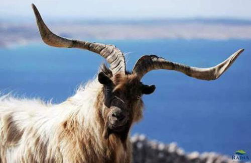 Beach House Mela - Foto 39