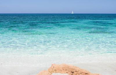 Ale house experience - Foto 36