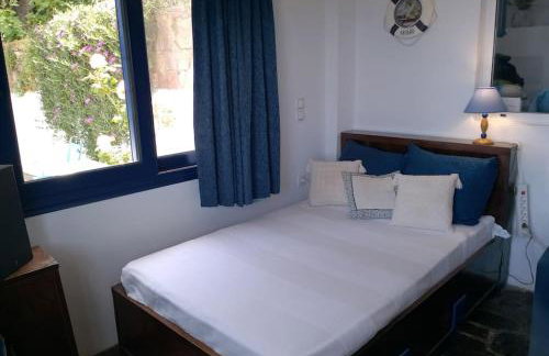 Blue Vista-Ikaria - Photo 17