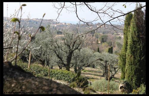 domaine des tilleuls d'or - Foto 13