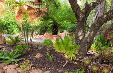 La Salamandre,Charmant T2 Calme et nature à Puget-Ville - Foto 5