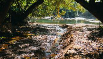 Refúgio Vida na Terra- Espaço Caliandra - Foto 3