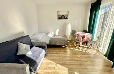 Domki Pasieka Domek D - Foto 9