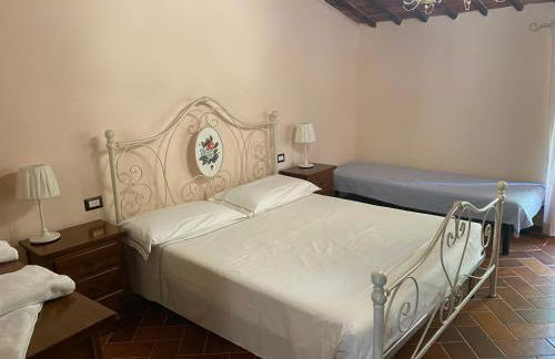 Rosa di Maggio - Foto 8