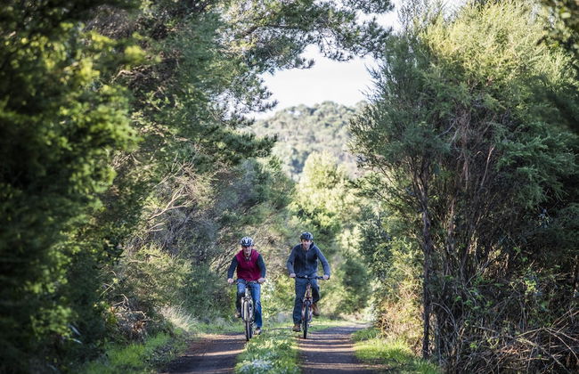 Alkina Lodge - Foto 27