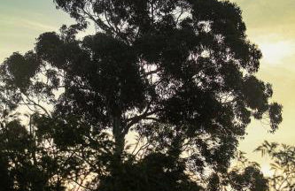 Casa Europeia com Lareira & Piscina em Indaiatuba - Foto 77