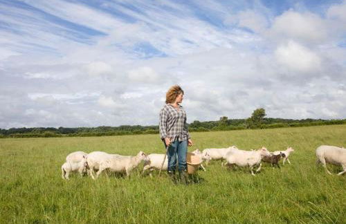 Séjour nature au cœur du Parc de la Brenne: gîte 4 chambres, jardin et terrasse, proche de Rosnay - FR-1-591-141 - Foto 7
