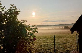 Zacisze pod brzozami - Foto 39