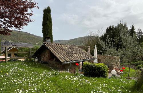 Relax-Fewo-Rösch - Foto 23