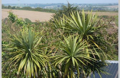 Ferney Croft - Foto 7