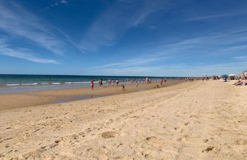 Altura Beach AL - Photo 24