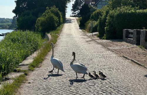 Ferienwohnung Alice mit 2 Balkonen und Meerblick - Foto 16