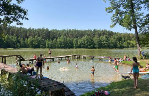 Igły i szyszki - Foto 12