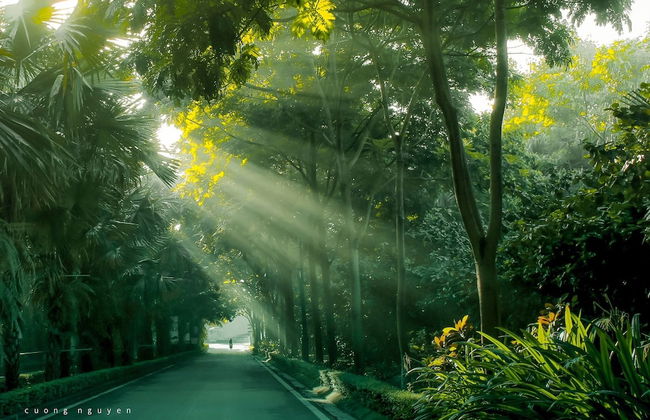 Friendly House QMP - Ecopark - Photo 33