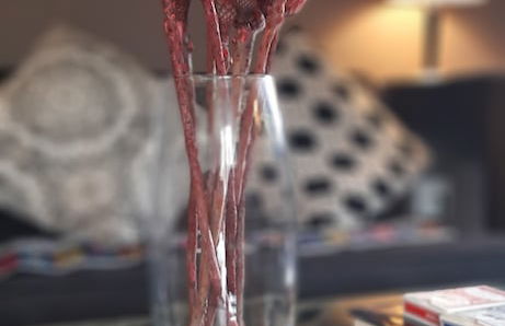 Abigails Garden Cottage - Foto 25