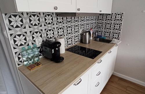 Apartament na Starówce - Foto 9