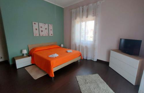 Il tulipano - Foto 20