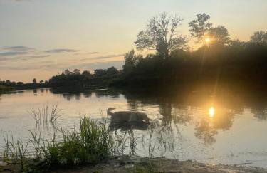 Ostoja Narwiańska - Foto 28