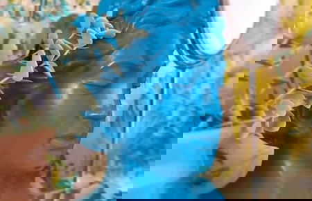 Stylish 3 Bedroom Townhouse in Brockley With Large Garden - Foto 36