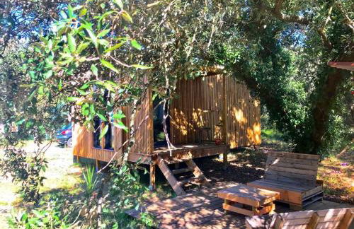 Ma cabane sous les arbres - Foto 54