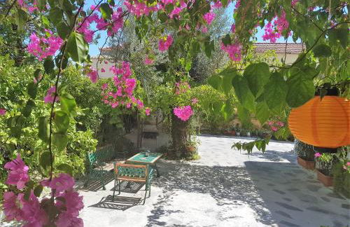 Sunrise Flora - Foto 32