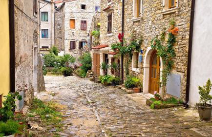 Modern villa Bibali Istra with pool in Buje - Foto 29