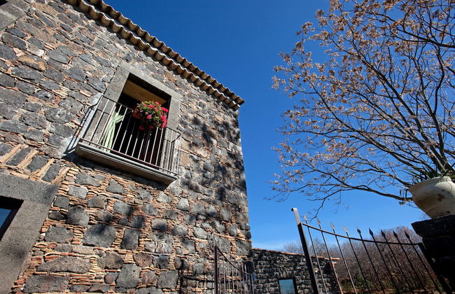 Bosco Ciancio - Photo 49