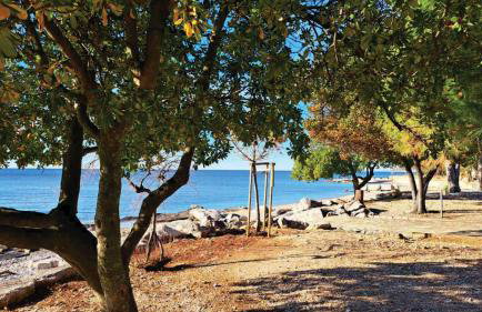 apartment istria - Foto 26