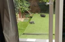 Montpellier : Jolie studio très calme - Foto 22