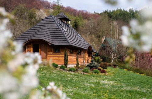 Dzikie południe - Foto 15