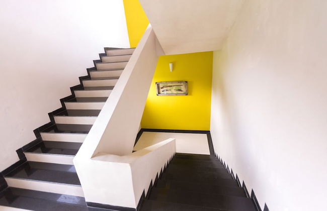 Shetty Farms - Foto 77