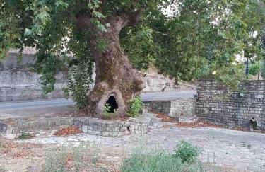 Eva's apartments - Foto 17