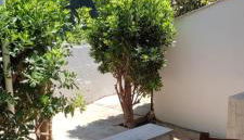 Villetta Sofia - 800m dal mare - Foto 2