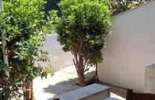 Villetta Sofia - 800m dal mare - Foto 2