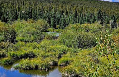 Moose Mtn Lodge/Luxury Cabin/Hot Tub/Fireplace - Foto 31