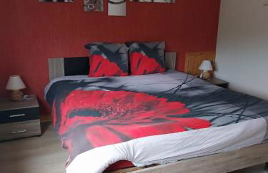 Les Hirondelles du MAMBOURG - Foto 7