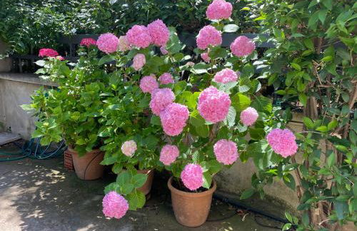 Small Gem Studio Athens, next to metro nomismatokopeio - Foto 20